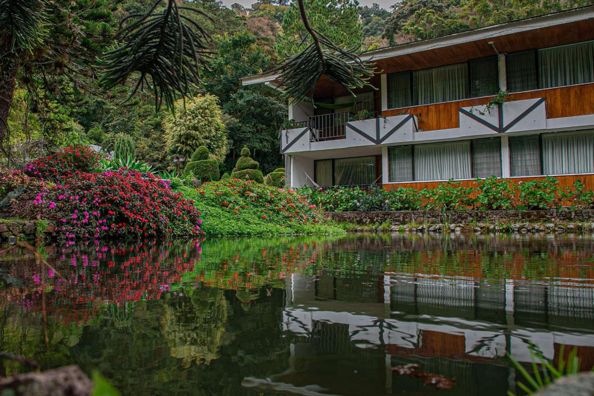 Hotel Bambito By Faranda Boutique, A Member Of Radisson Individuals Paso Ancho Dış mekan fotoğraf